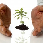 Waukegan living trust attorneys