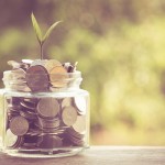 asset protection attorneys